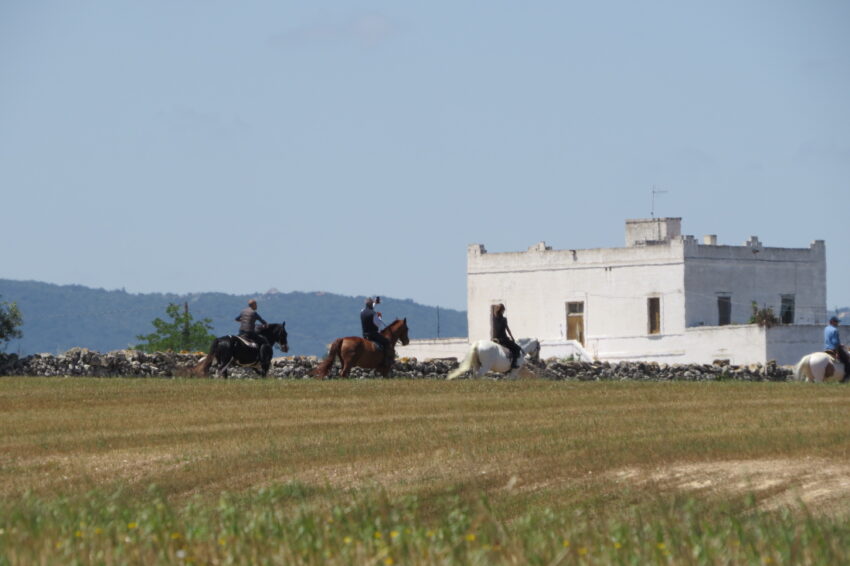 Passeggiate a cavallo